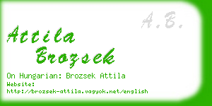 attila brozsek business card